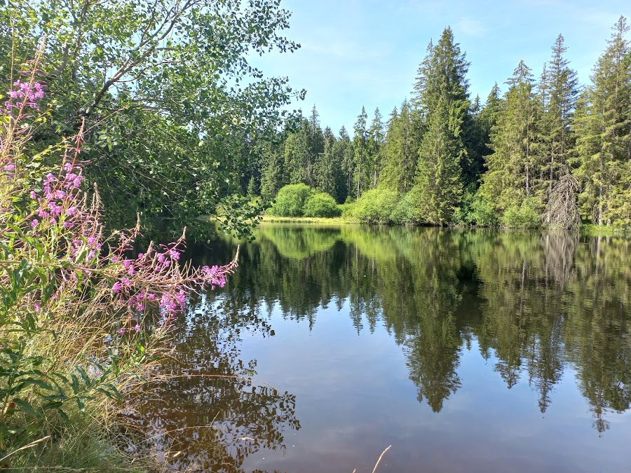 Löschteich