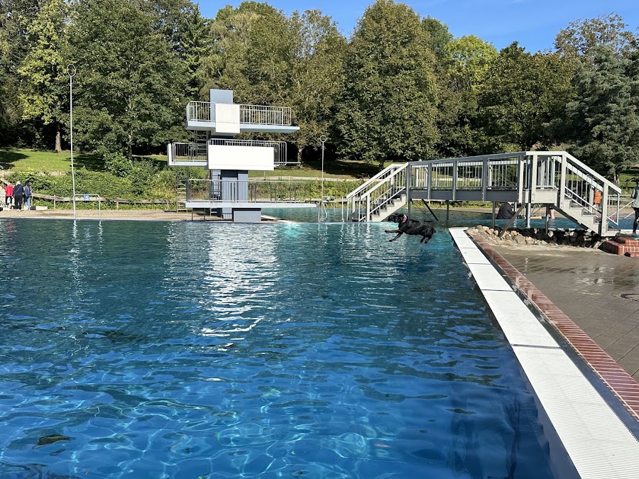 ehem. Gartenhallenbad