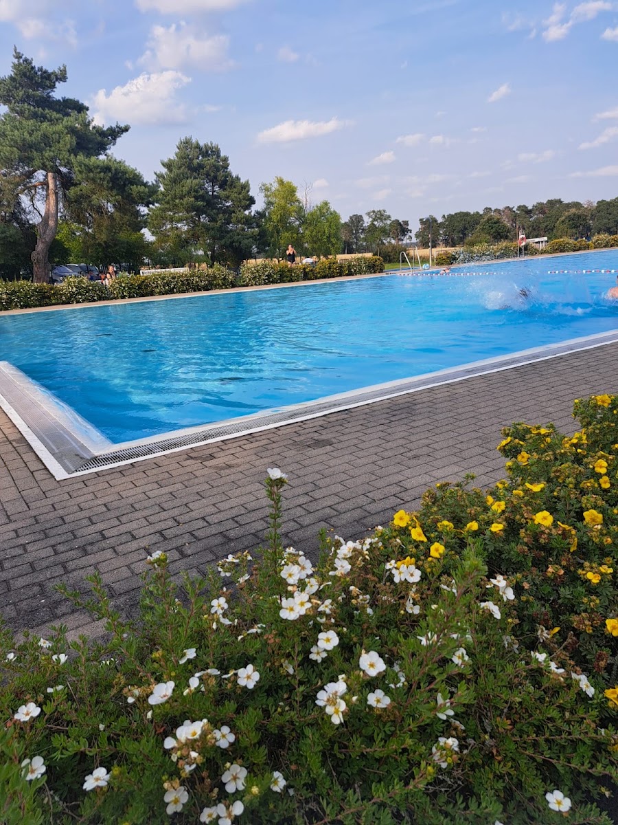 Waldschwimmbad Möllenbeck