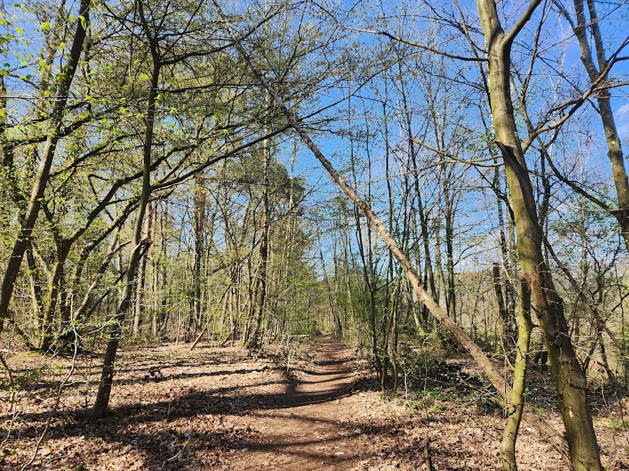 Flottenweiher