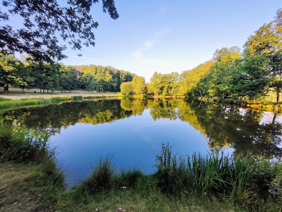 Wilnsdorfer Weiher
