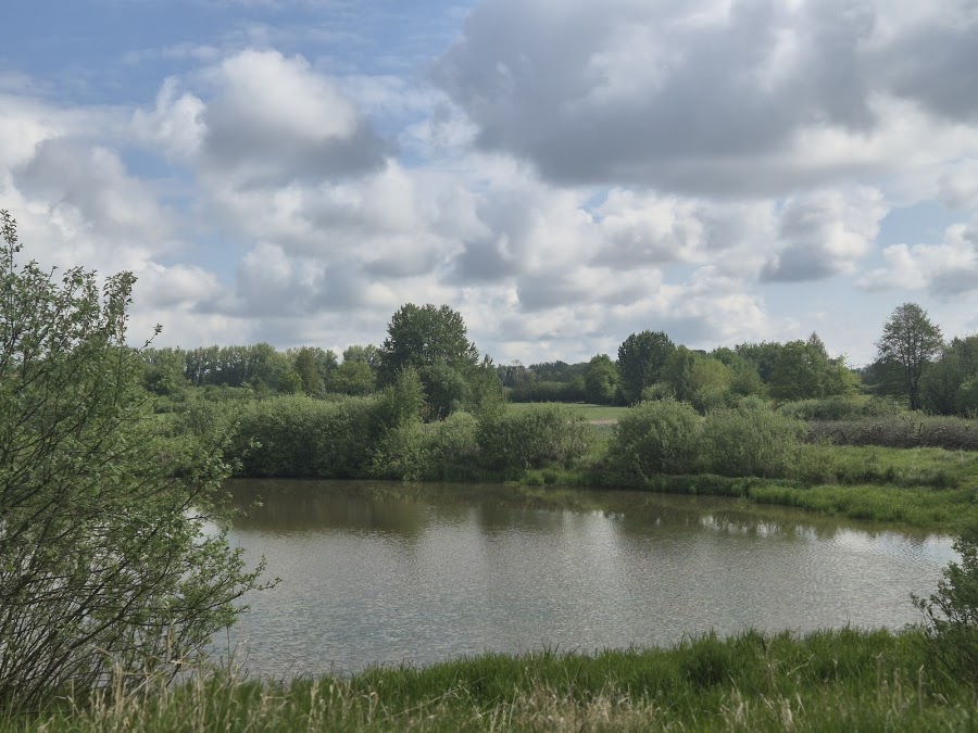 Landschaftschutzgebiet Limbacher Teiche