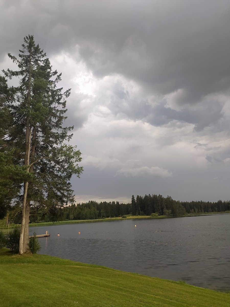 Elbsee Freibad