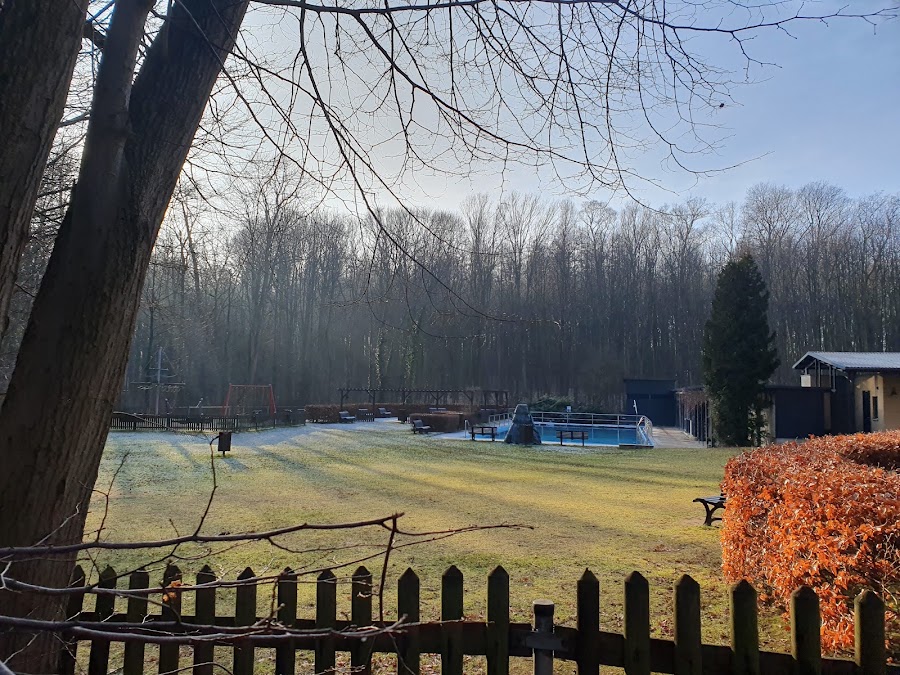 Waldbad