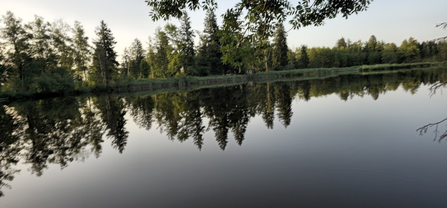 Freibad Schönauer Weiher