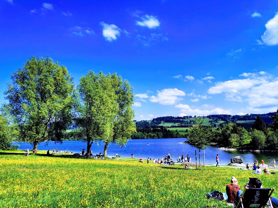 Liegewiese