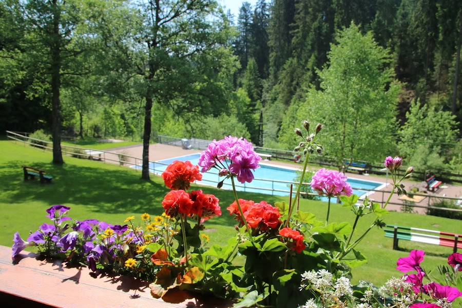Schwimmbad Kniebis