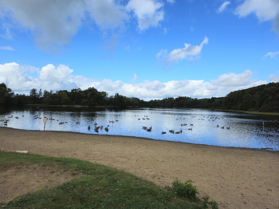 Strandbad Freilingen