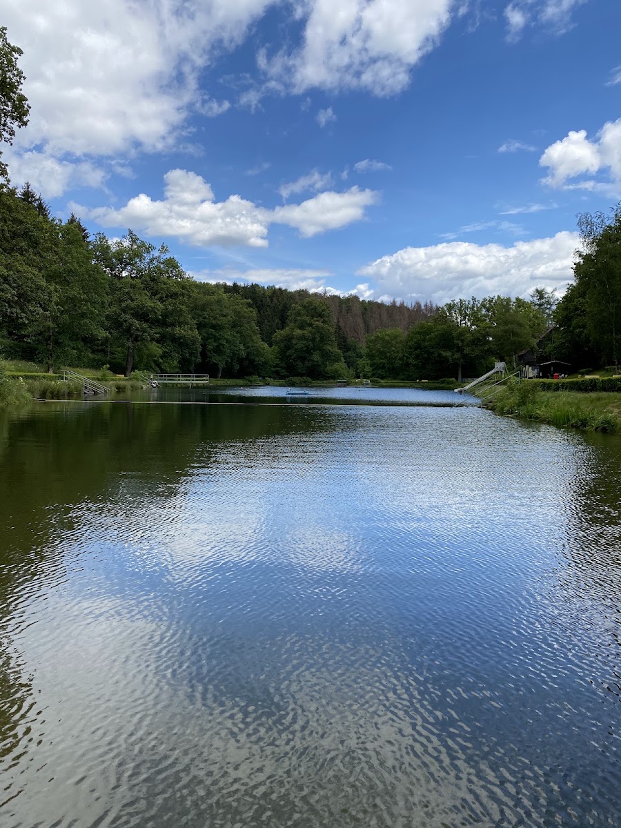 Seelbacher Weiher