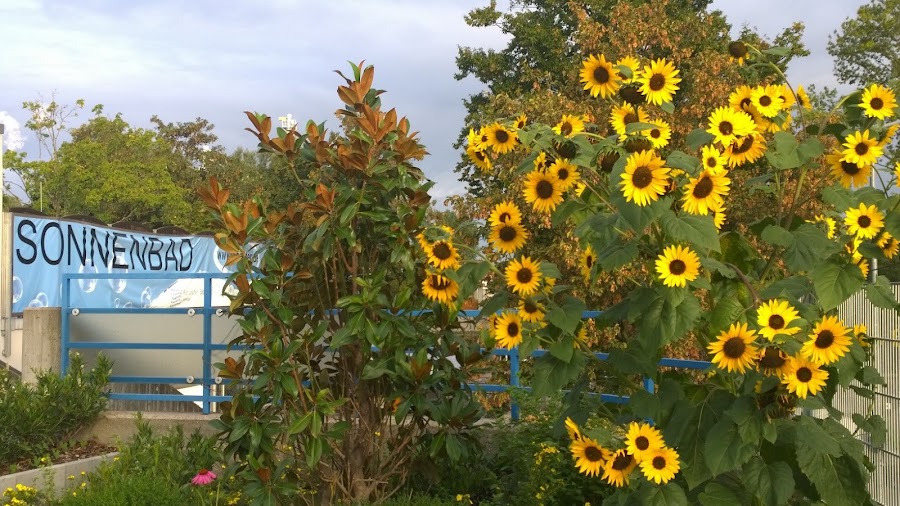 Sonnenbad