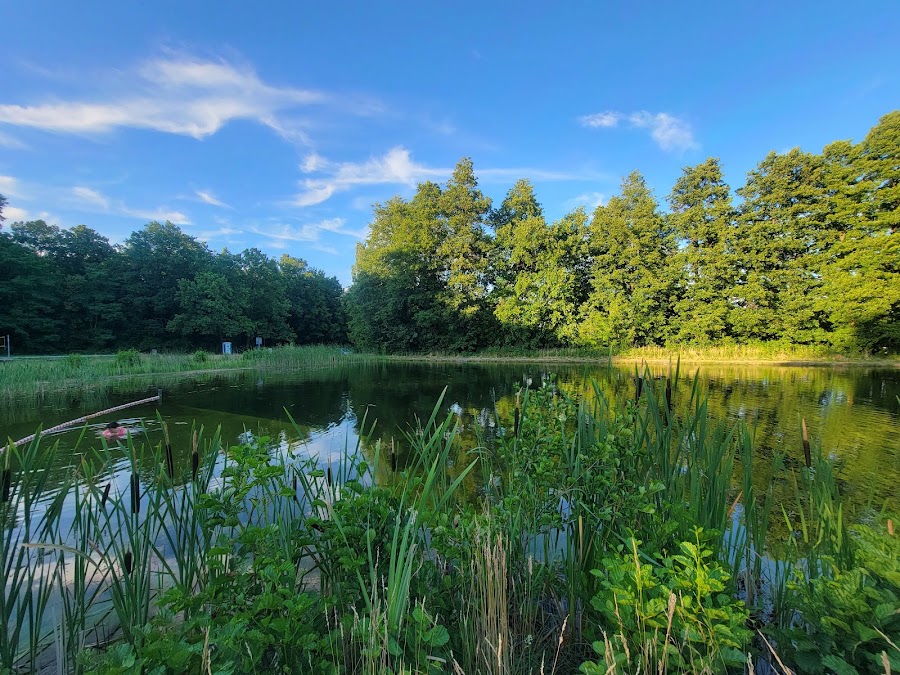 Waldschwimmbad Gehren