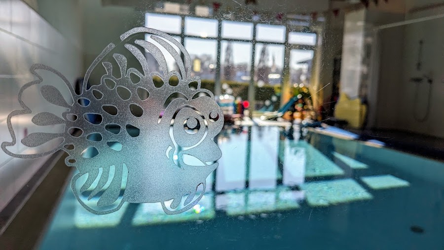 Schwimmschule Kugelfisch