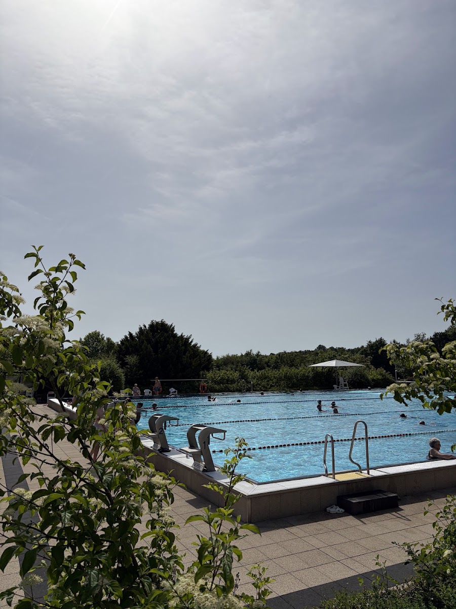 Freibad Kelkheim