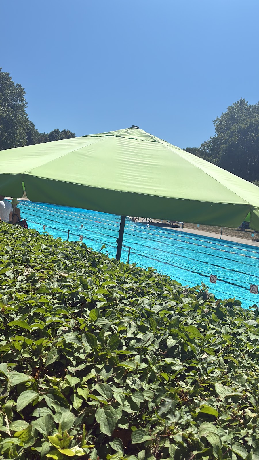 Freibad Kehl-Auenheim