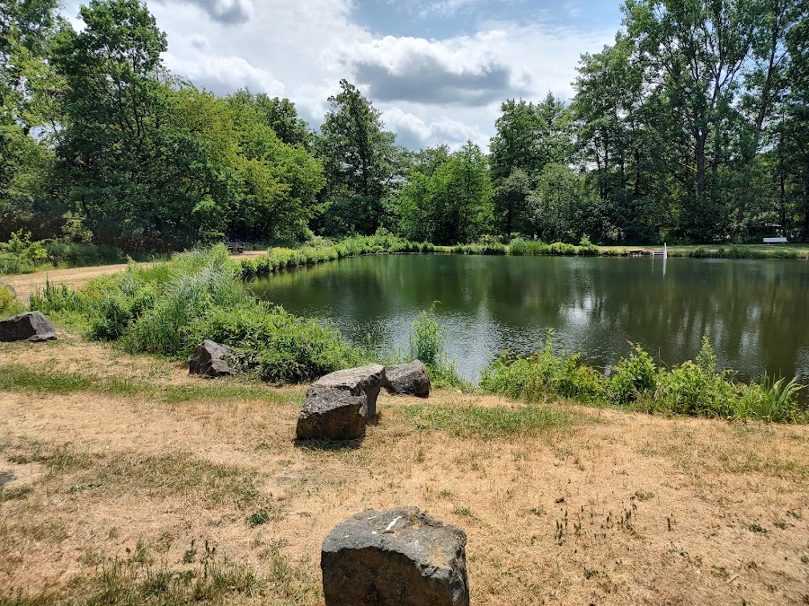 Naturbadeweiher