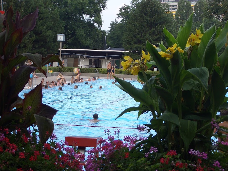 Freibad Rüppurr