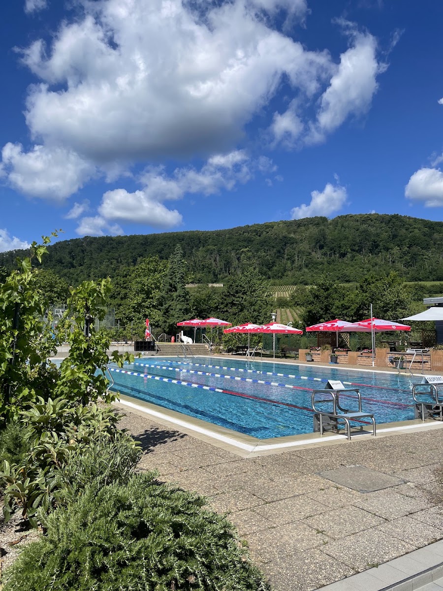 Schwimmbad im Paradiesgarten